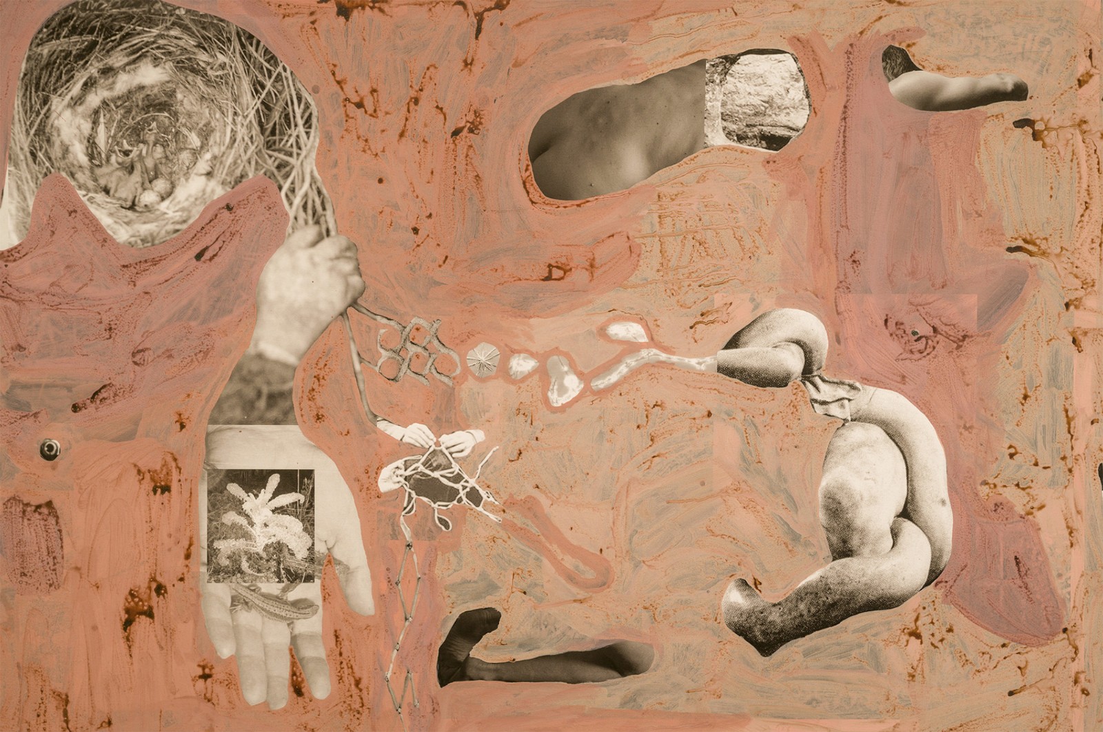 圖十二、《地勢(shì) (關(guān)于時(shí)間，關(guān)于身體)》 (細(xì)節(jié)圖)，O?zlem Alt?n，2019