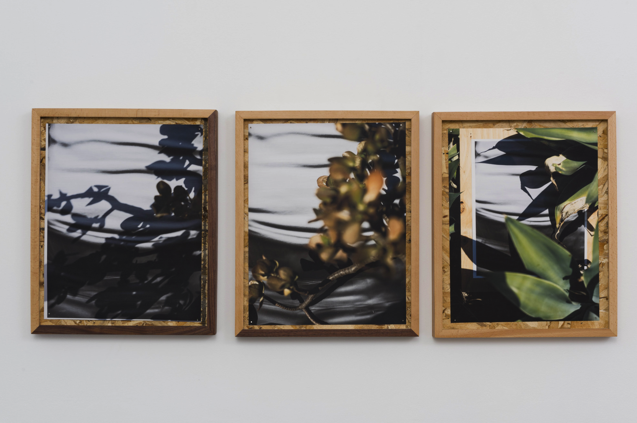 圖四、從左至右《庫(kù)卡蒙格牧場(chǎng) 34.1064° N, 117.5931° W. 》2018《回聲公園 34.0782° N, 118.2606° W.》 2018《康普頓 33.8958° N, 118.2201° W. 2018》David Alekhuogie